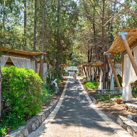 Курортный комплекс Liberty Lykia Adults Only Олудениз