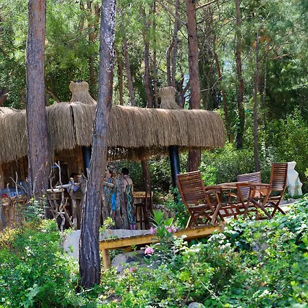 Semesteranläggning (resort) Liberty Lykia Adults Only